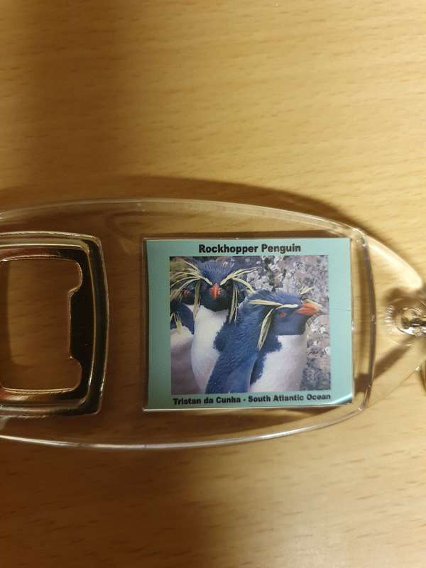 Rockhopper Penguin Bottle Opener/Keyring
