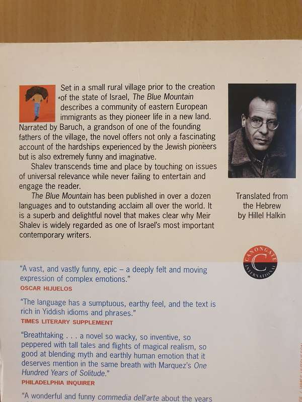 The Blue Mountain : Meir Shalev (Paperback)