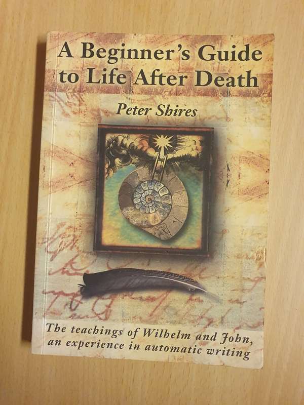 A Beginner`s Guide to Life After Death: Peter Shires  (Paperback)