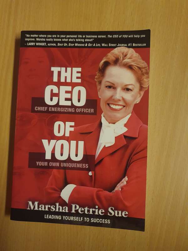 The CEO of You : Marsha Petrie Sue (Paperback)