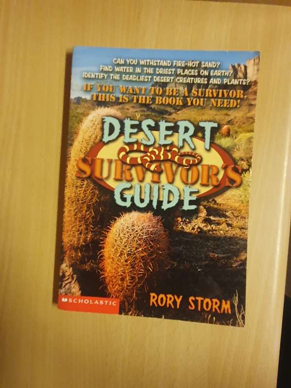 Desert Survivor`s Guide : Rory Storm (Paperback)