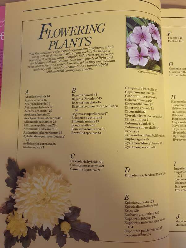 The Illustrated Directory of House Plants  (Hardcover)