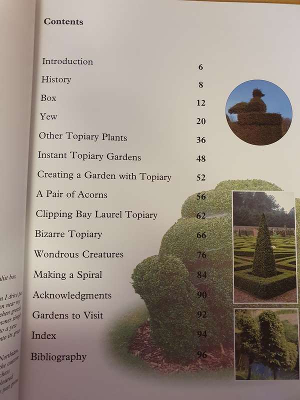 Topiary for Everyone : Bobby Meyer  (Paperback)