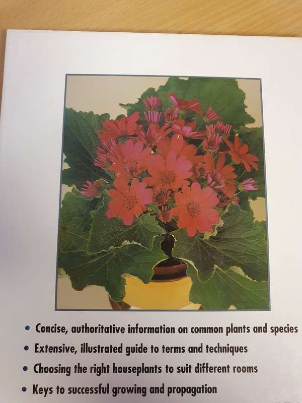 Colour Dictionary of House Plants : Peter McHoy (Hardcover)