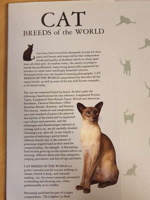 Cat Breeds of The World : Paddy Cutts (Hardcover)
