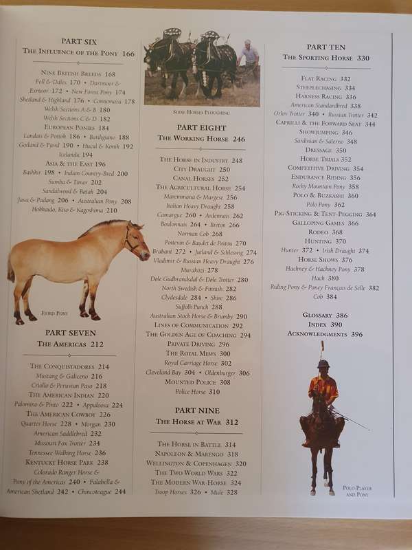 DK - The Encyclopedia of the Horse - The Major Breeds of the World: Elwyn Hartley Edwards (NEW)