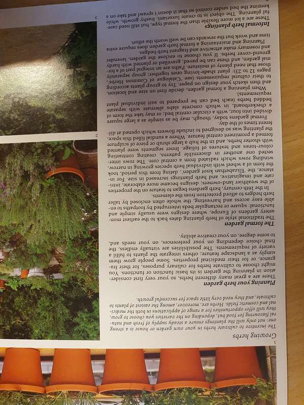 Herbs - Zoe Gilbert  (Paperback)