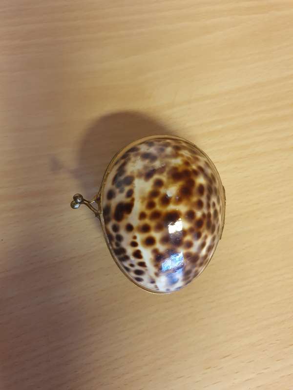 Seashell Trinket Holder
