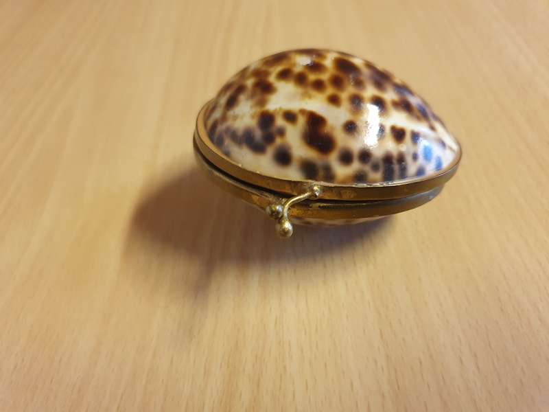 Seashell Trinket Holder