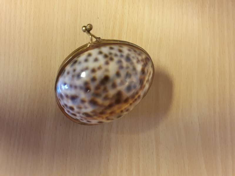 Seashell Trinket Holder