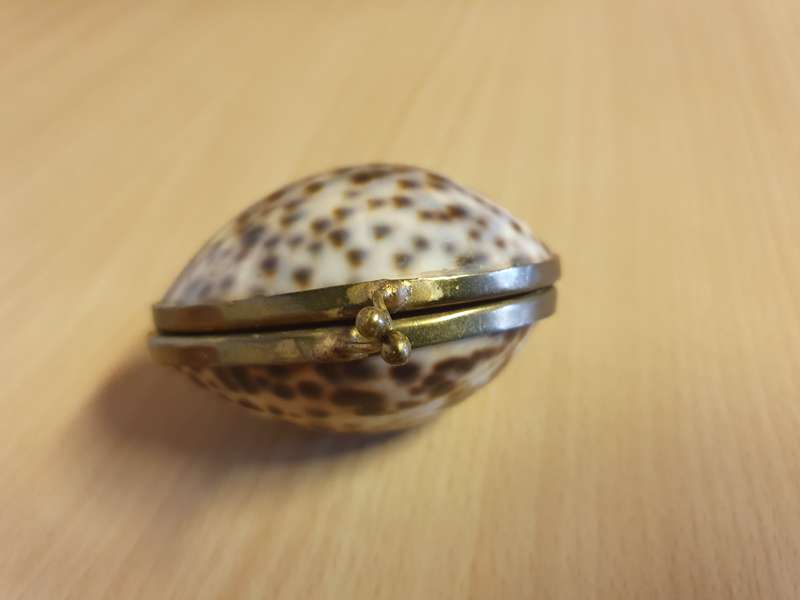 Seashell Trinket Holder