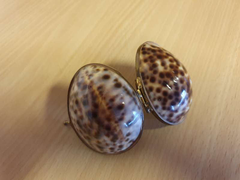 Seashell Trinket Holder