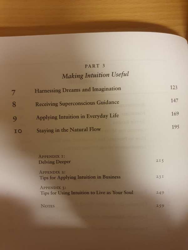 The Intuitive Way - Guide to Increasing Your Awareness: Penney Peirce (Paperback)