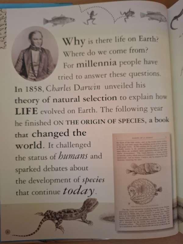 DK - Evolution Revolution (From Darwin to DNA) Robert Winston  (Hardcover)