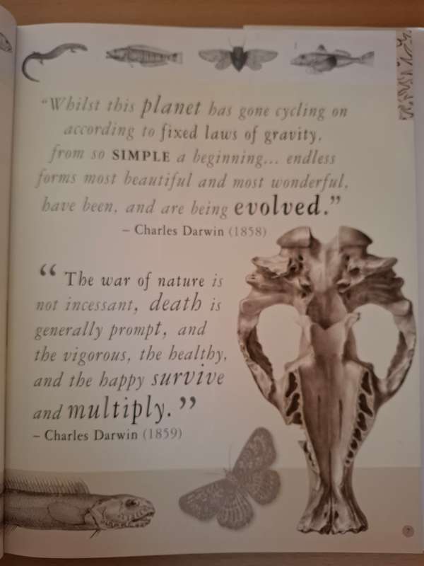 DK - Evolution Revolution (From Darwin to DNA) Robert Winston  (Hardcover)