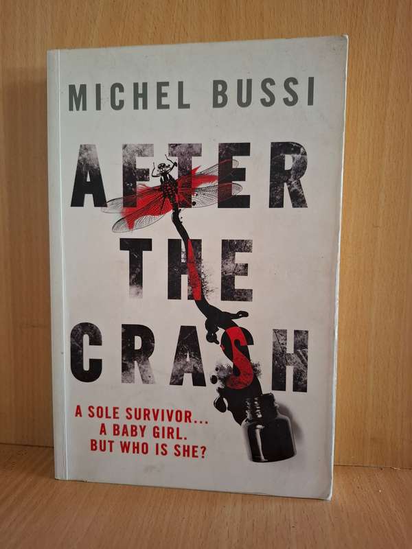 After the Crash : Michel Bussi (Paperback)