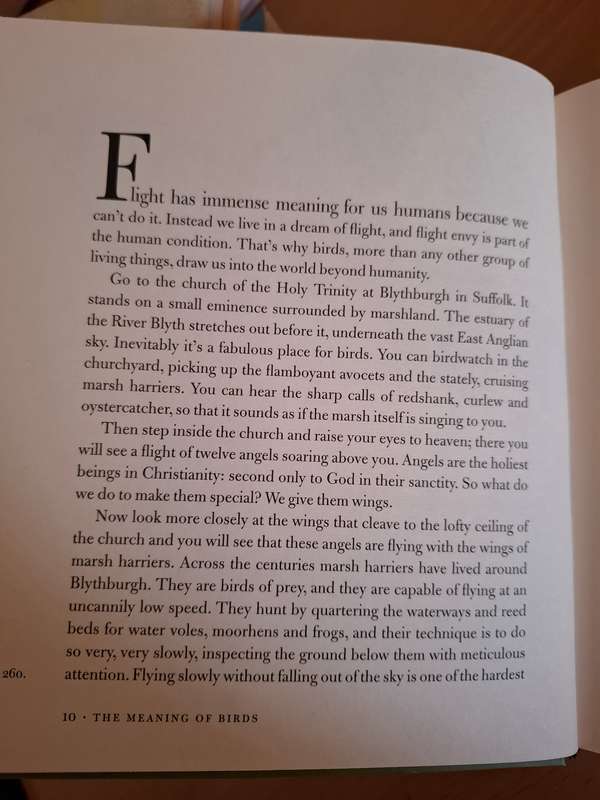 The Meaning of Birds: Simon Barnes  (Hardcover)