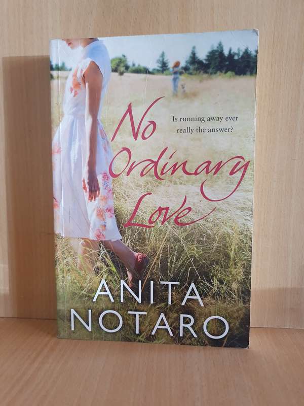 No Ordinary Love: Anita Notaro (Paperback)