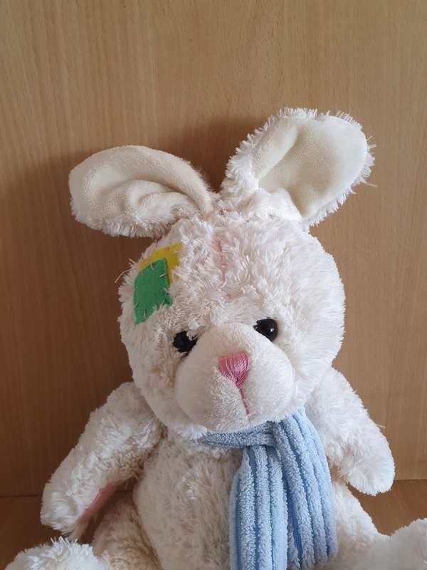 Teddy Bear  (25cm x 24cm)