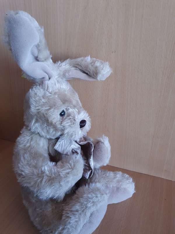 Bunny Soft Toy (25cm x 15cm)