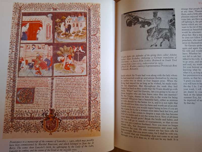 The Arthurian Legends - An Illustrated Anthology : Richard Barber  (Hardcover)