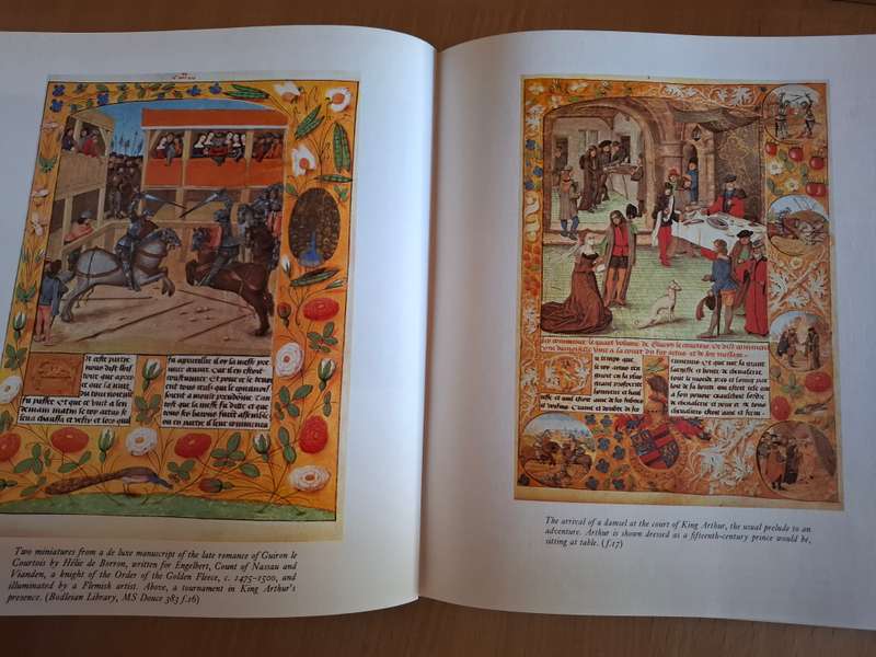 The Arthurian Legends - An Illustrated Anthology : Richard Barber  (Hardcover)