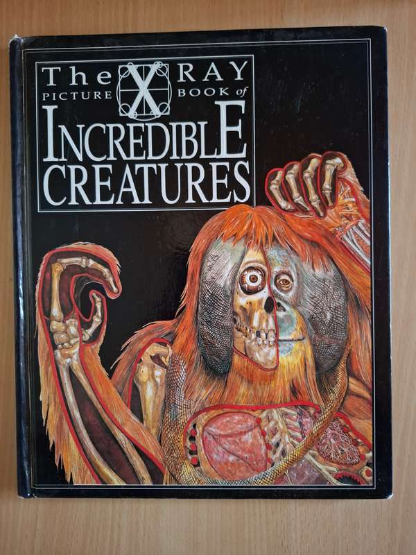 The X-Ray Picture Book of Incredible Creatures : Gerald Legg  (Hardcover)