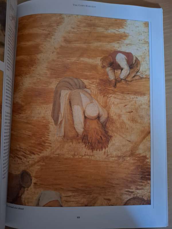 History & Techniques of The Great Masters - Bruegel : Penelope Le Fanu Hughes (Paperback)