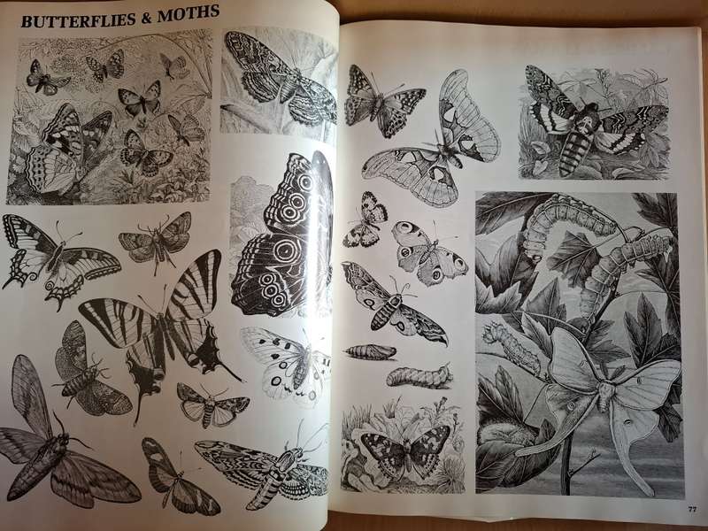 The Illustrator`s Handbook - Compiled by Harold H. Hart (Hardcover)