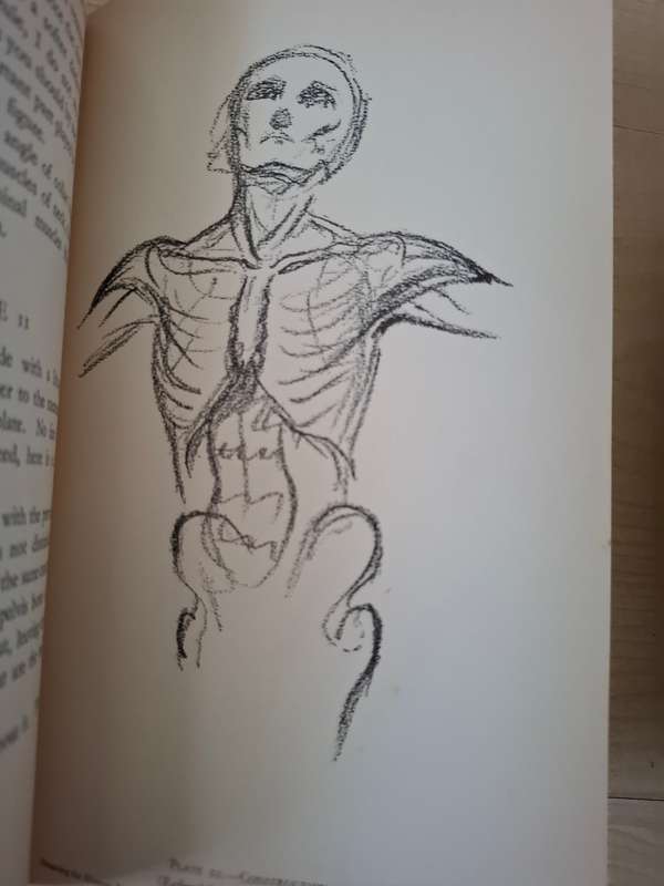 A Manual on Drawing The Human Figure Written and Illustrated by L.A. Doust (Hardcover)