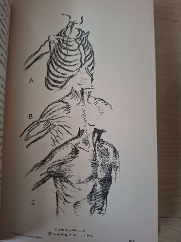 A Manual on Drawing The Human Figure Written and Illustrated by L.A. Doust (Hardcover)