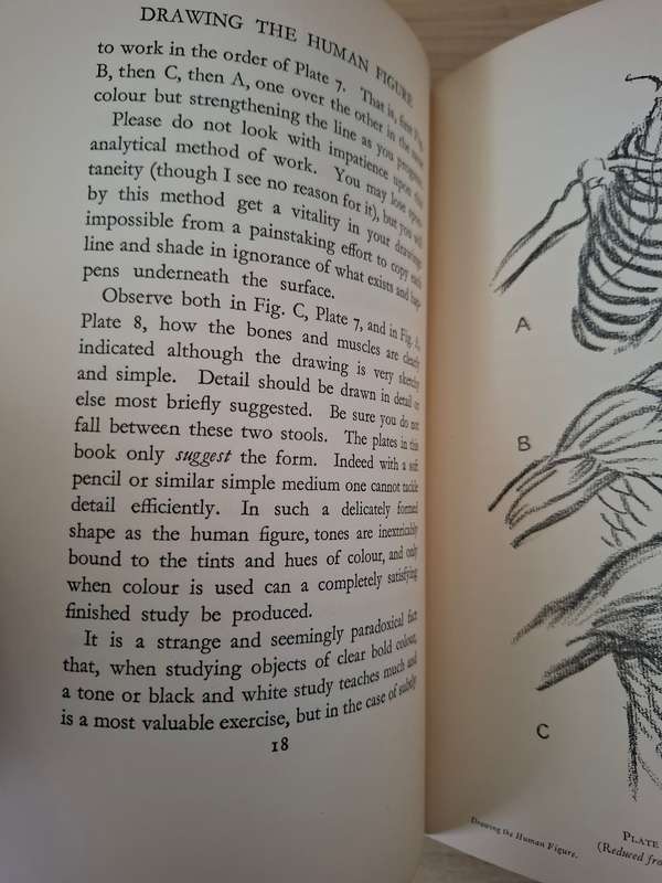 A Manual on Drawing The Human Figure Written and Illustrated by L.A. Doust (Hardcover)