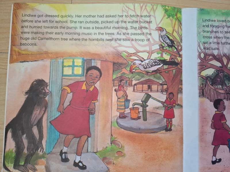 Lindiwe to the rescue: Isabel Lynch  (Paperback)