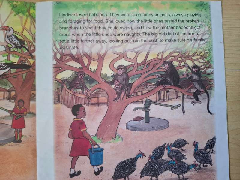 Lindiwe to the rescue: Isabel Lynch  (Paperback)