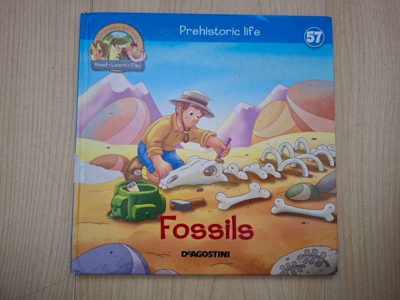 Prehistoric Life - Fossils  (Hardcover)