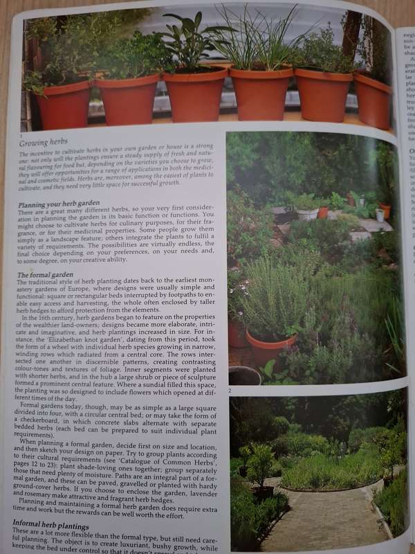 Herbs for The South African garden and Home : Zoe Gilbert  (Paperback)