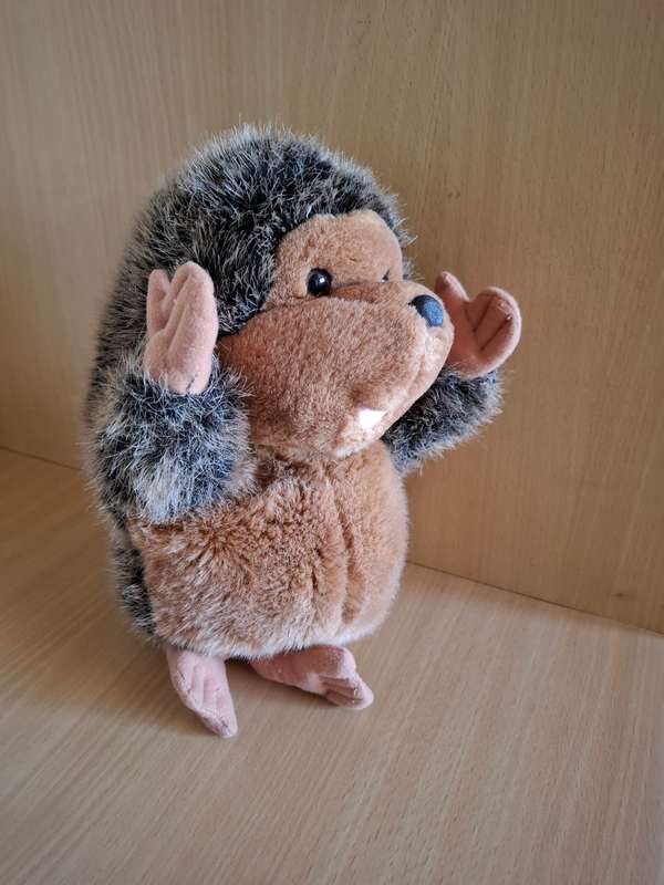 Hedghog Soft Toy