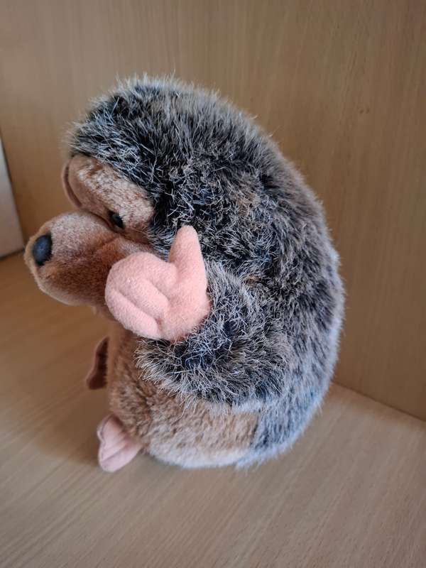 Hedghog Soft Toy