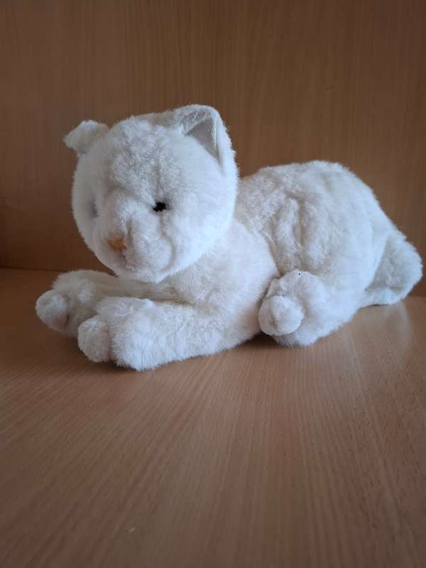 Cat Soft Toy