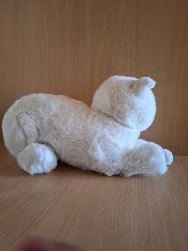 Cat Soft Toy