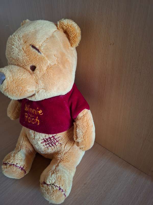 Winnie the Pooh Soft Toy