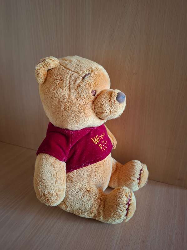 Winnie the Pooh Soft Toy