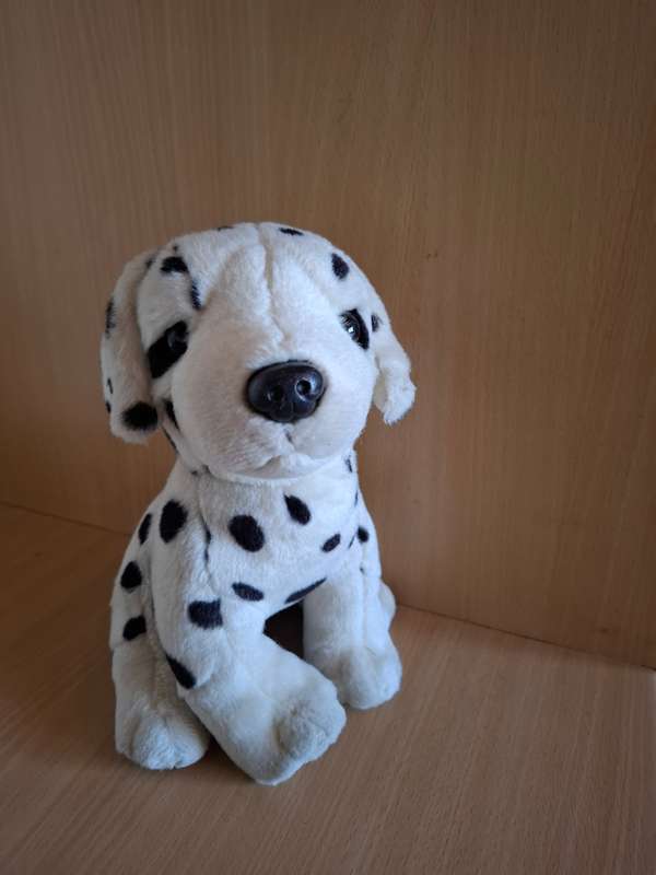 Dalmatian Puppy Soft Toy