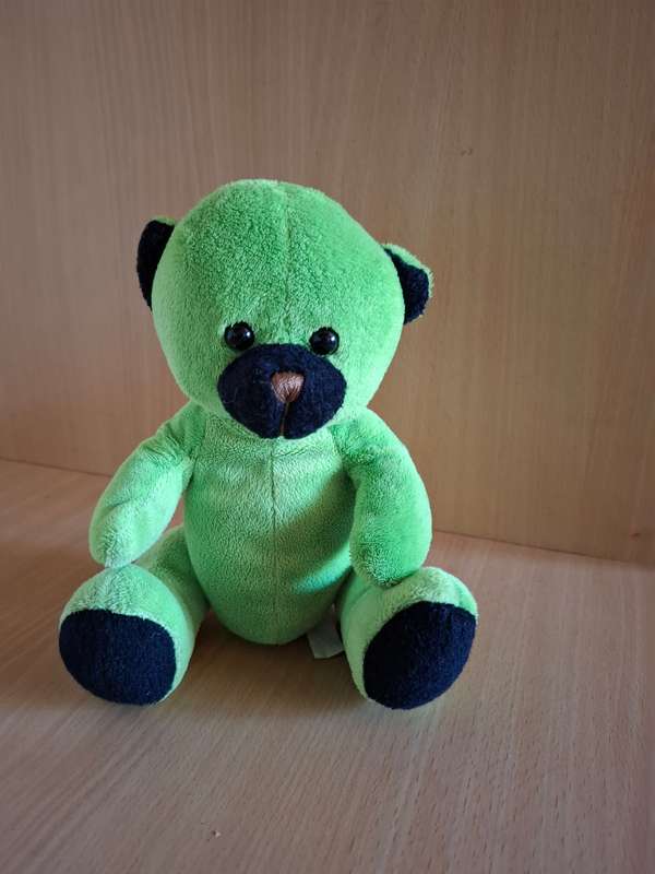 Small Green Teddy Bear Soft Toy