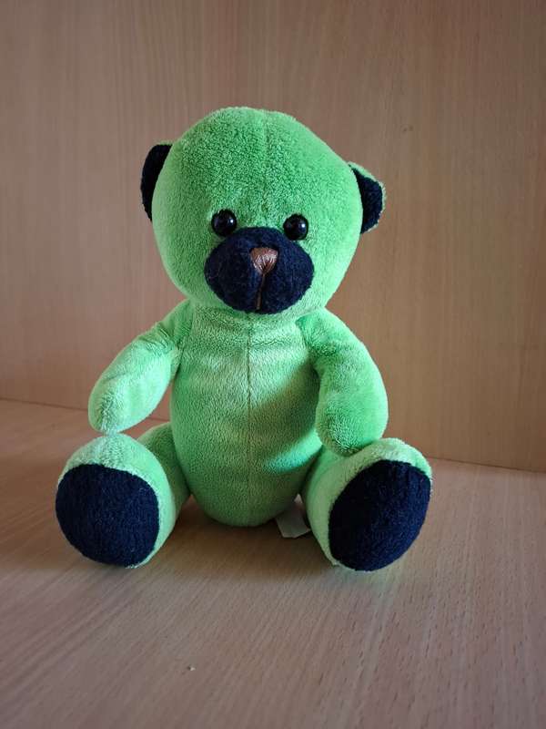 Small Green Teddy Bear Soft Toy