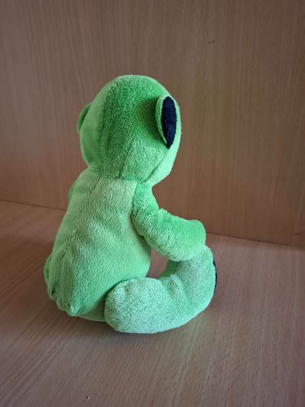 Small Green Teddy Bear Soft Toy