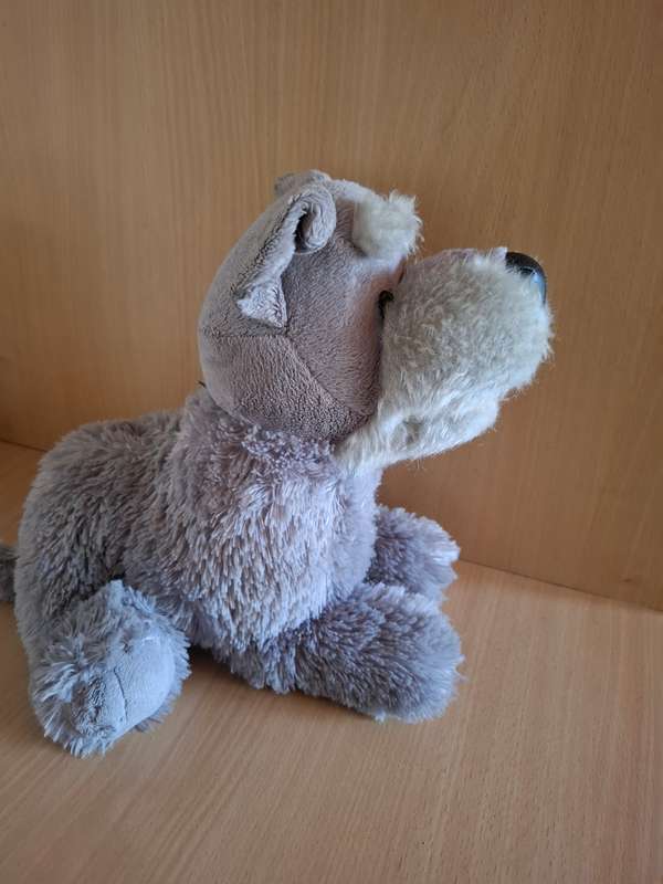 Dog Soft Toy