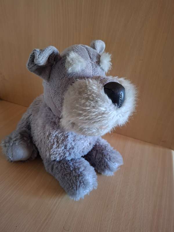 Dog Soft Toy