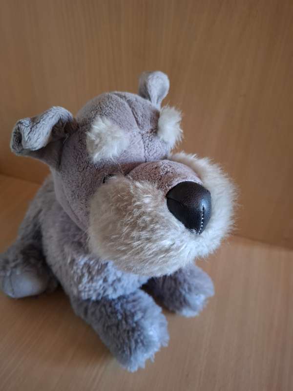 Dog Soft Toy