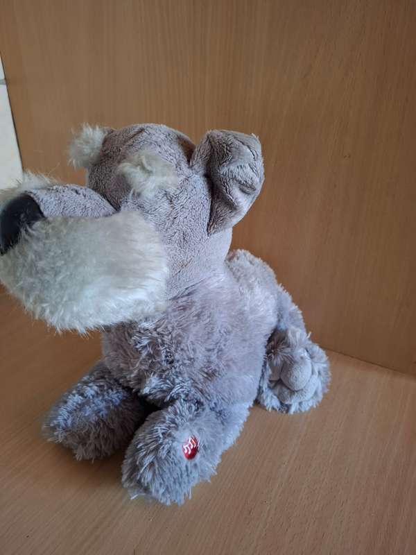 Dog Soft Toy